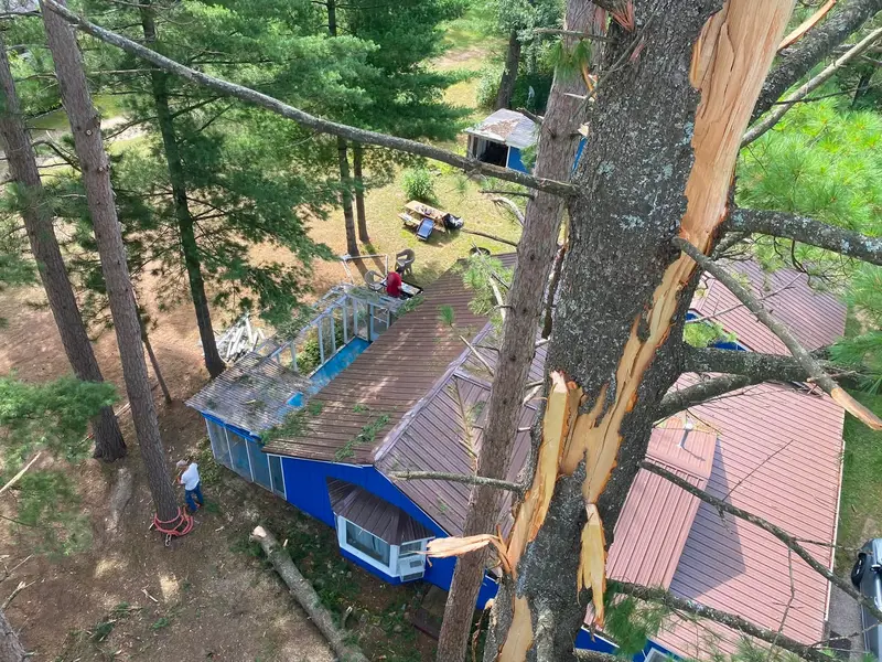Storm damage: white pine down on a cottage roof