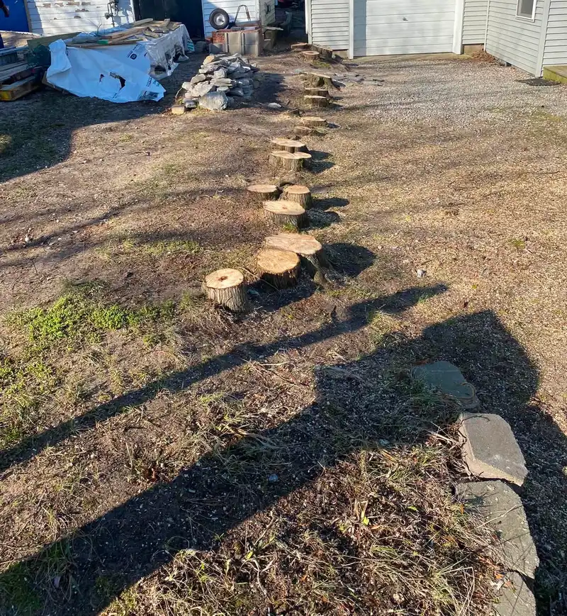 Cleared site after the cedar row came down (after)