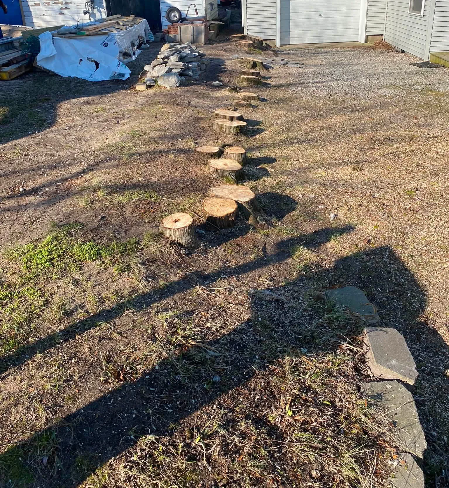 Cleared site after the cedar row came down (after)