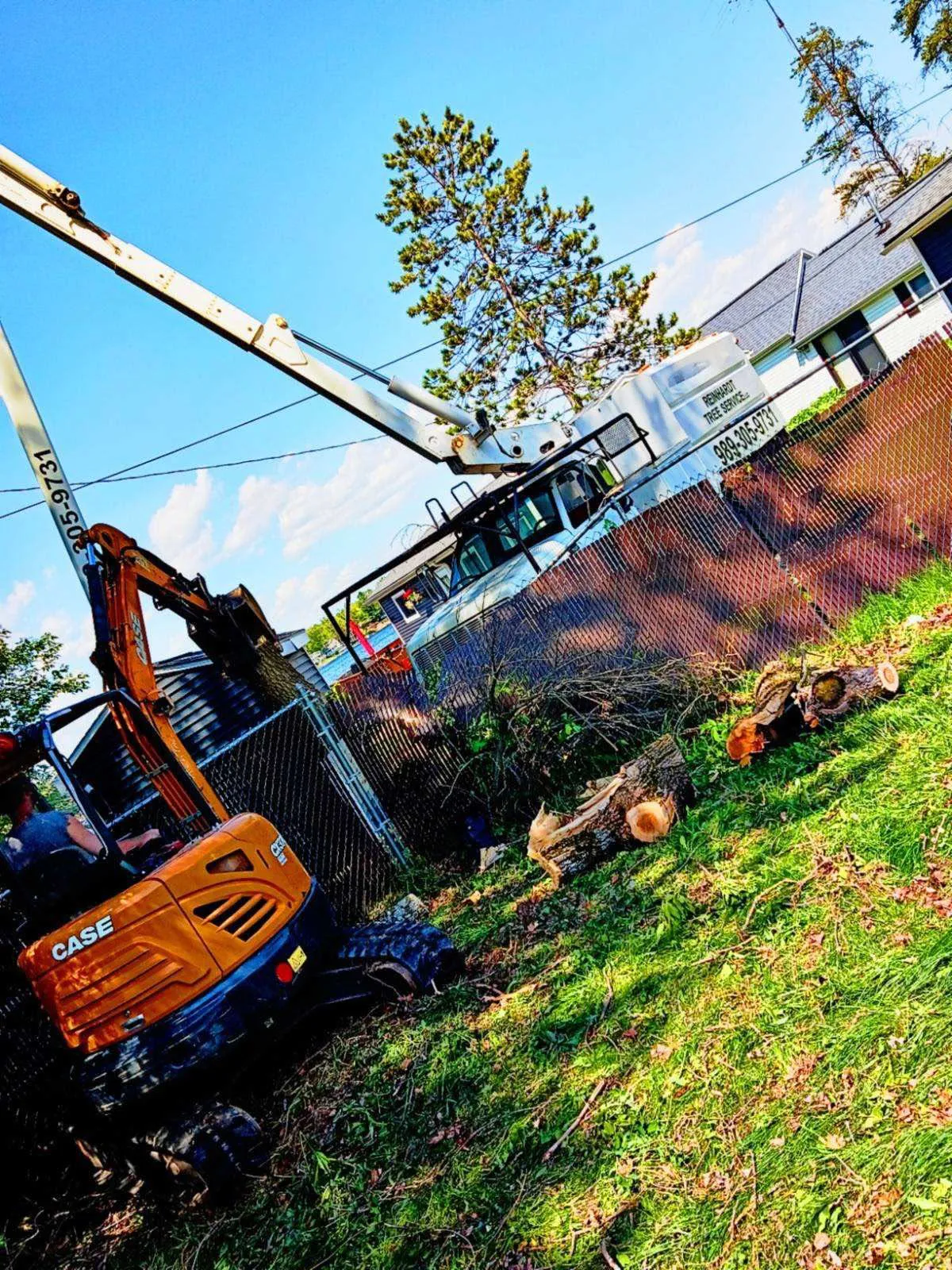 Tree removal with equipment on site
