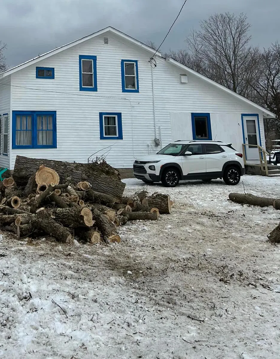 Tree removal in winter: logs bucked into rounds