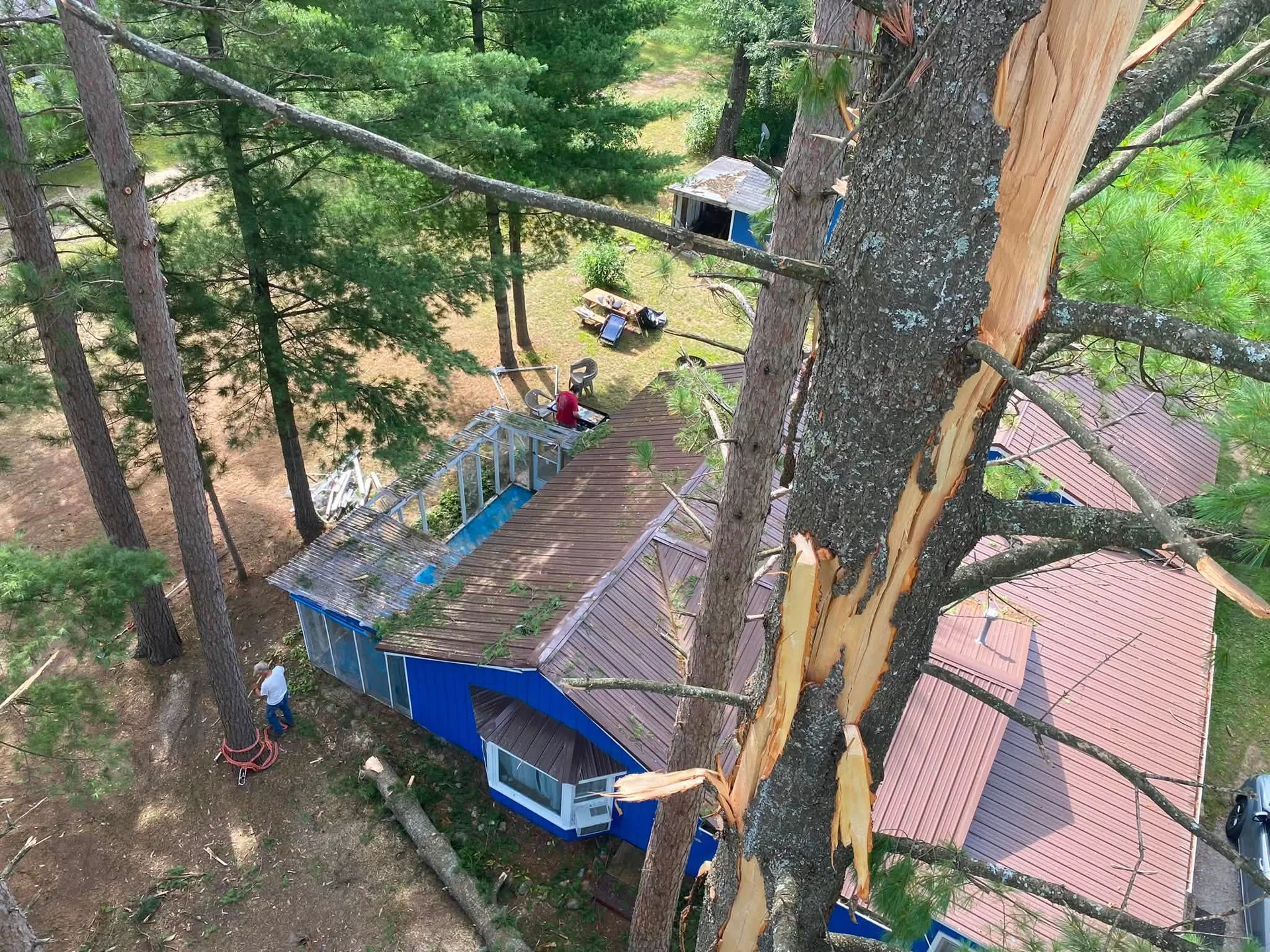 Storm-damaged white pine being rigged off a cottage roof by Reinhardt Tree Service