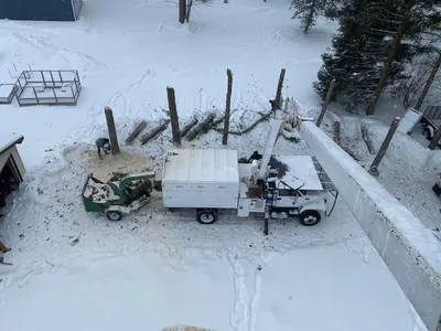 A dead tree taken down over snow-covered ground in winter