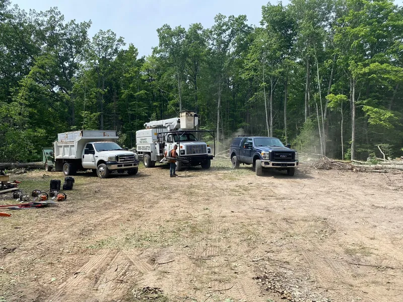 A building site opened up, with the crew and trucks working the cleared ground