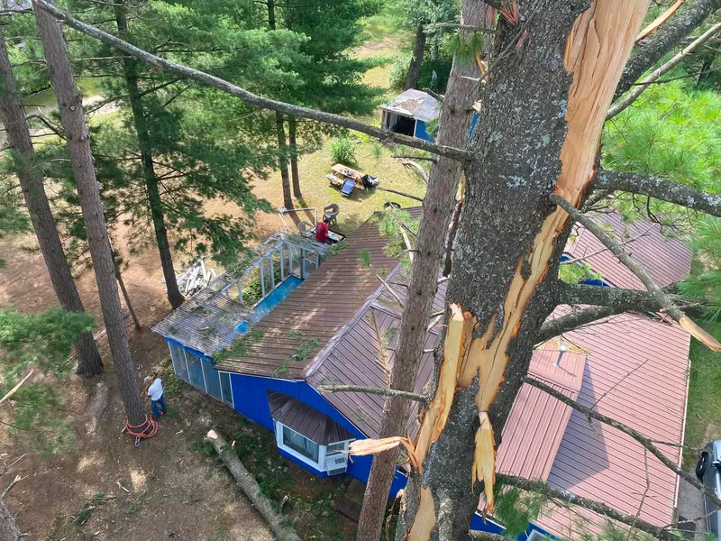 A wind-broken tree hung up over a cottage roof, seen from the bucket